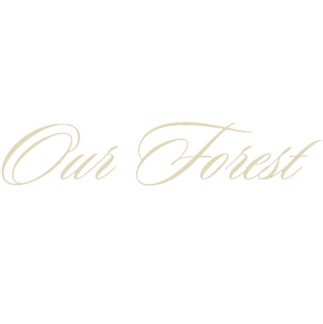 Our Forest